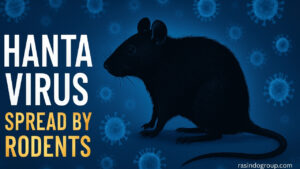 Virus Hanta Terdeteksi